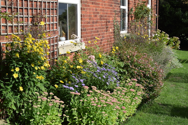 Rear flower border